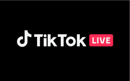 TikTok 1000 Pièces